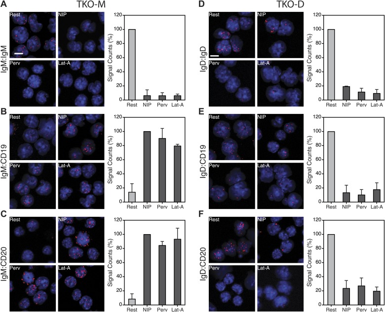 Figure 7—figure supplement 1.