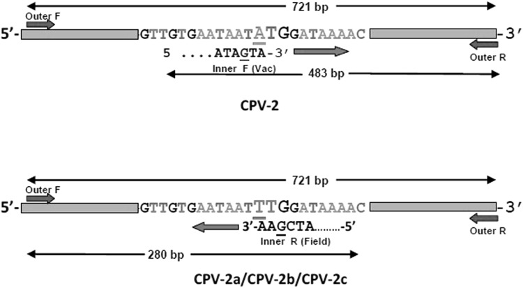 Fig. 1