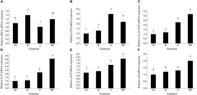 FIGURE 6