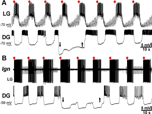 Figure 9.