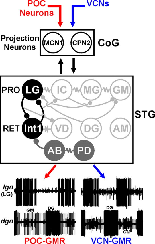 Figure 10.