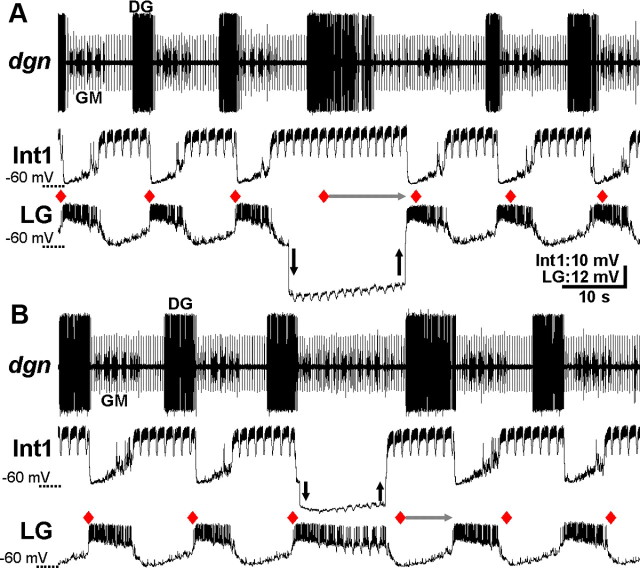 Figure 6.