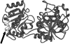 F<sc>IG</sc>. 5.