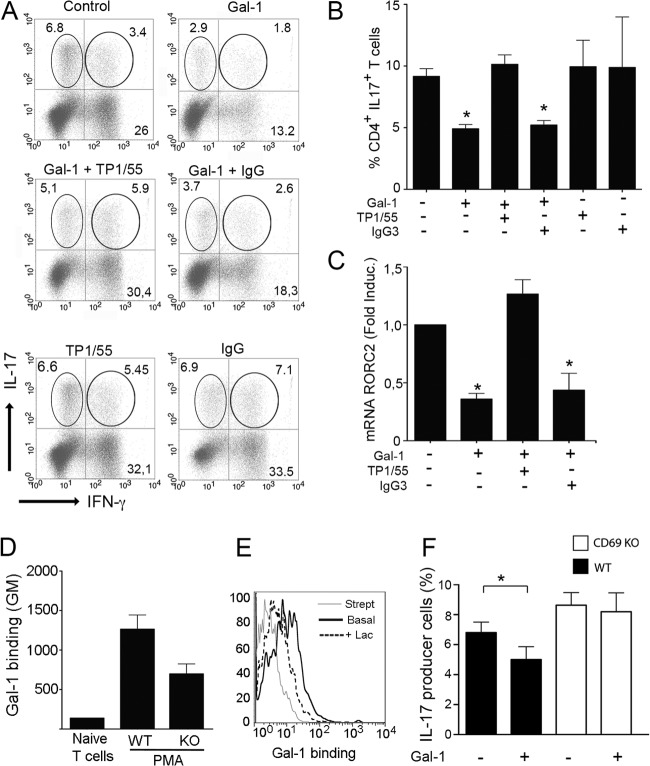 FIG 6