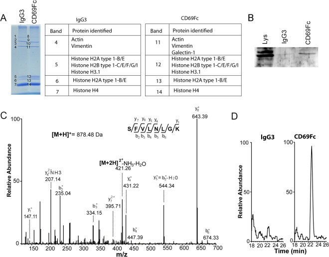 FIG 2