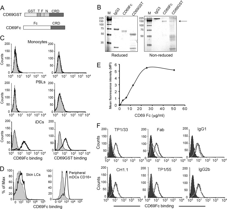 FIG 1