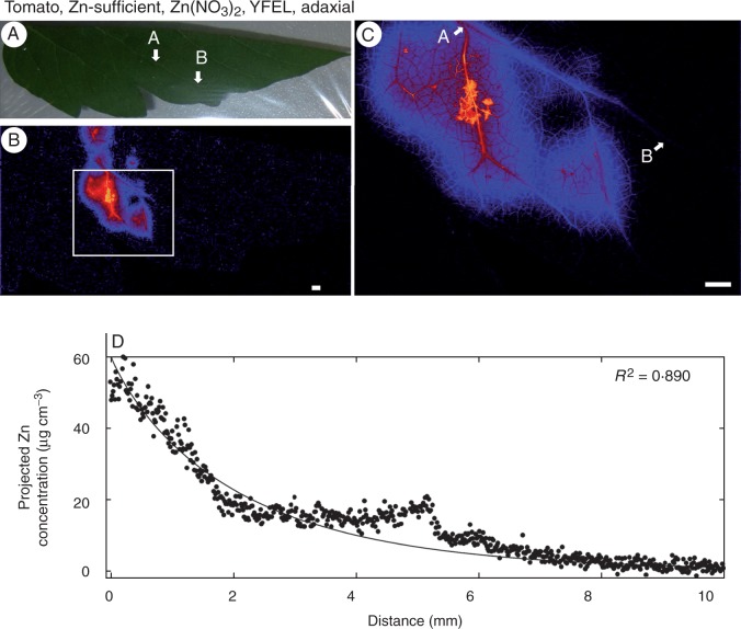 Fig. 4.