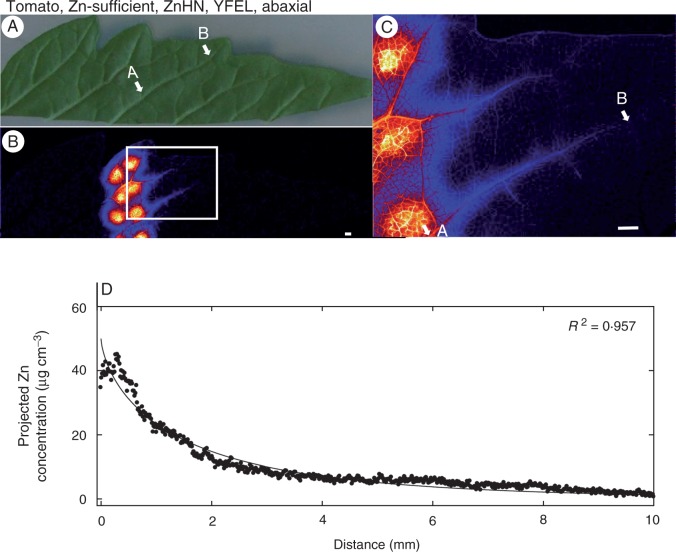 Fig. 3.