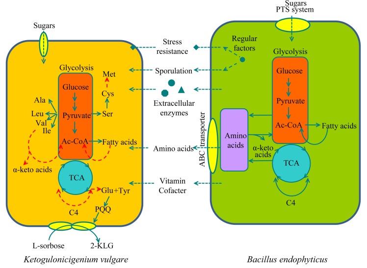 Fig 6