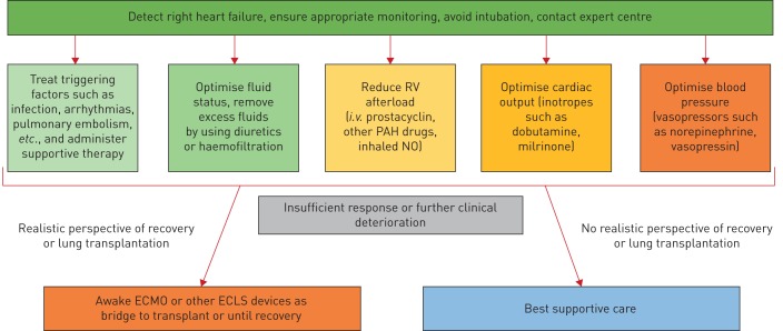 FIGURE 1