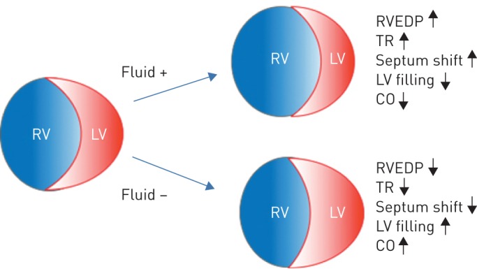 FIGURE 2