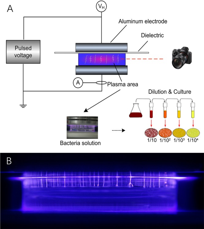 FIG 1