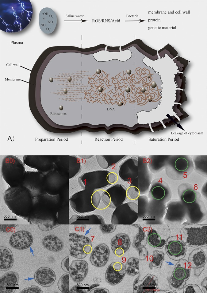 FIG 3