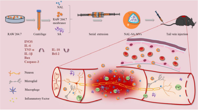 Image, graphical abstract