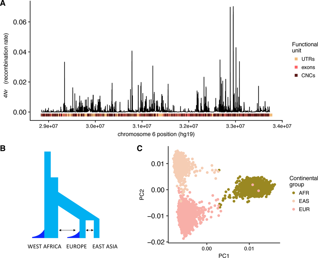 Figure 2: