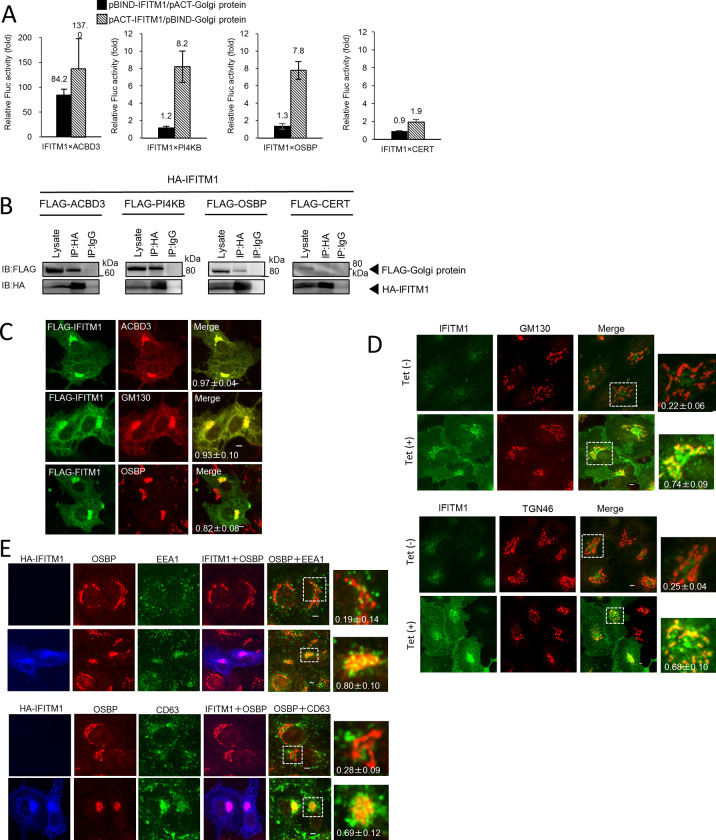 Fig 4