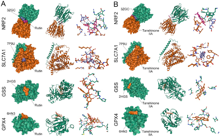 Fig. 7