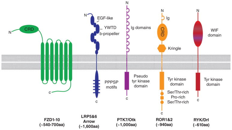 FIGURE 2