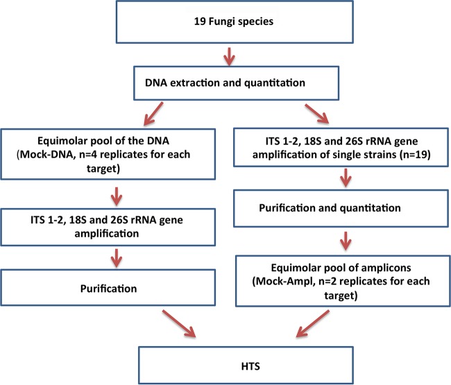 FIG 1