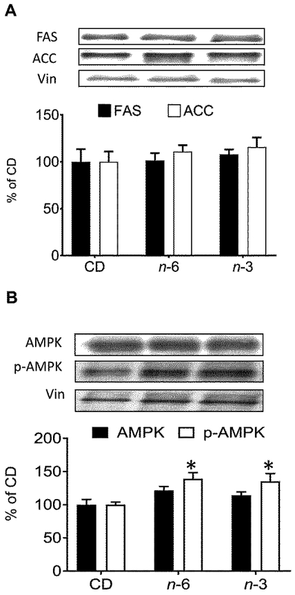 Figure 5: