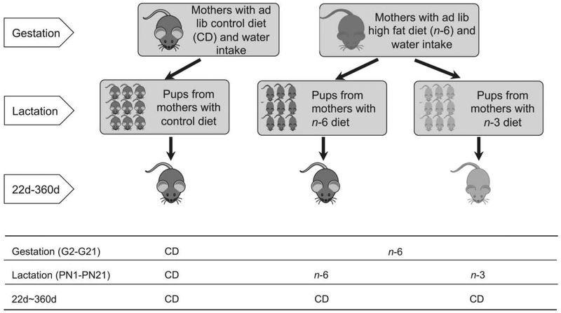 Figure 1: