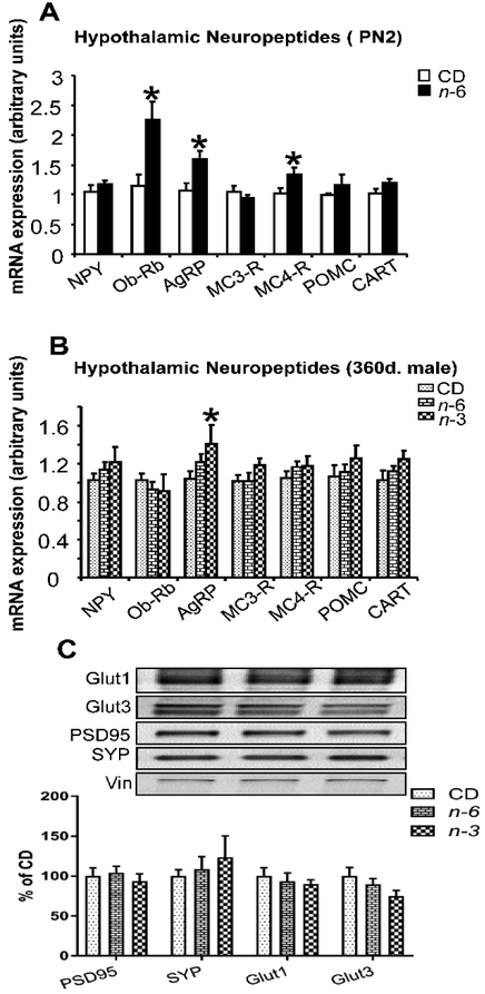 Figure 3: