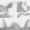 FIG. 7