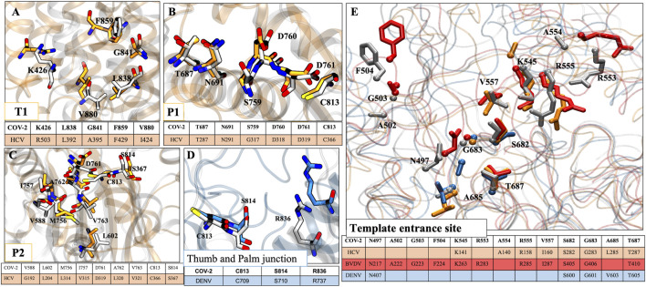 FIGURE 9