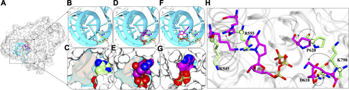 FIGURE 10