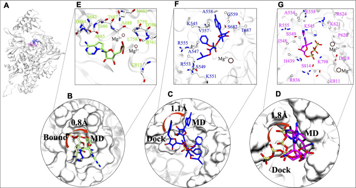 FIGURE 4