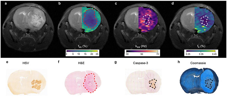 Fig. 3 ∣