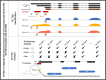 Graphical Abstract