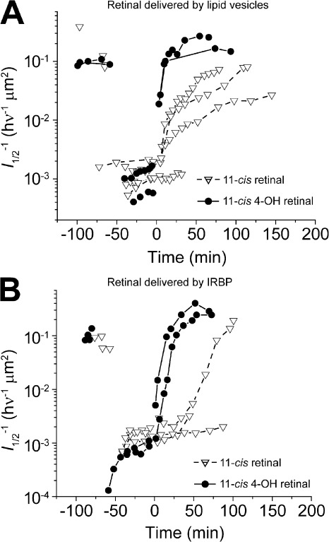 Figure 4.