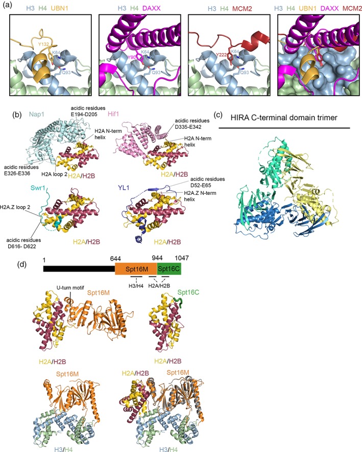 Figure 2