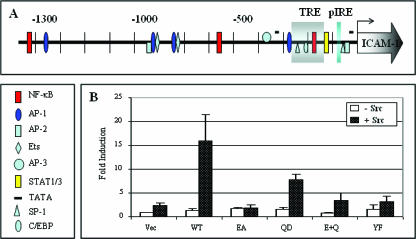 FIG. 7.