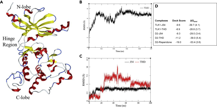 Figure 2