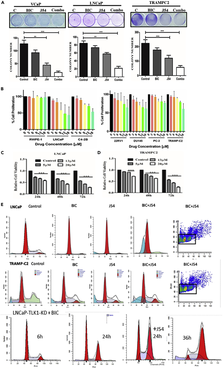 Figure 4