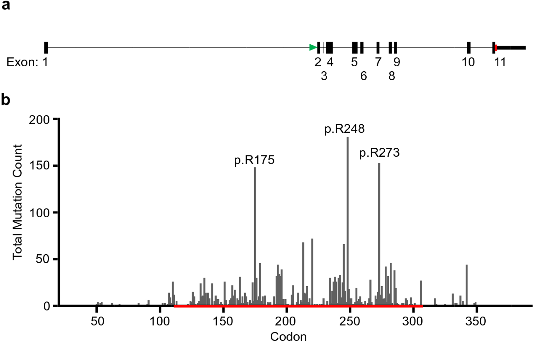 Figure 1: