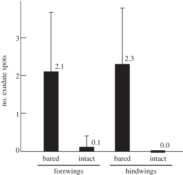 Figure 5.