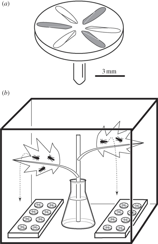 Figure 2.