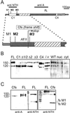 Fig 1.