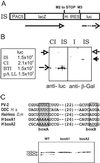 Fig 2.