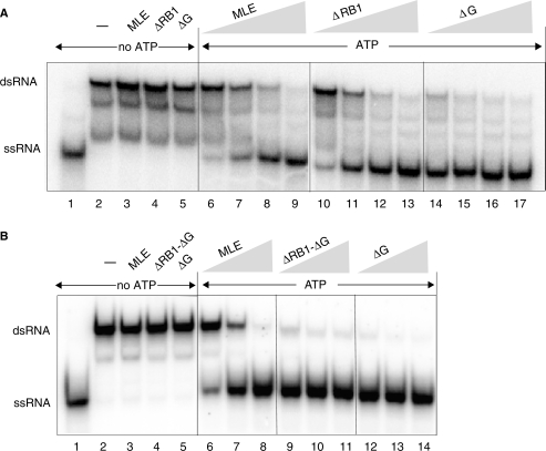 Figure 5.