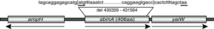 FIG. 1.