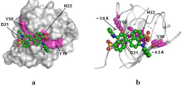 Fig. 8