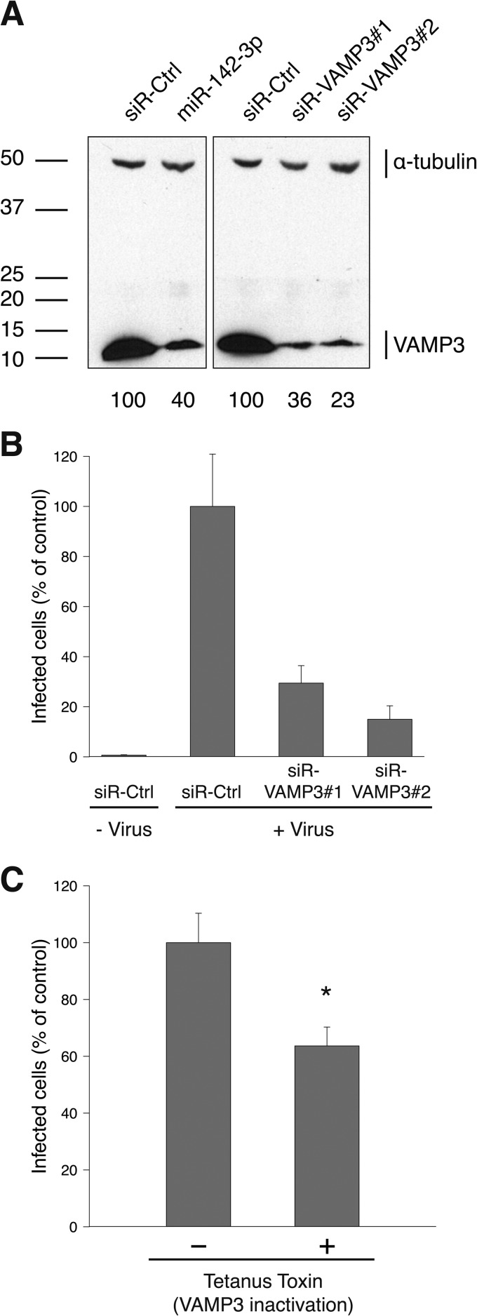 FIG 5