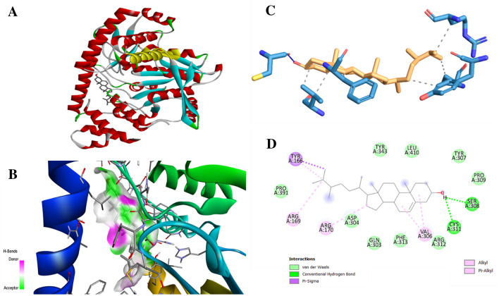 Fig. 12