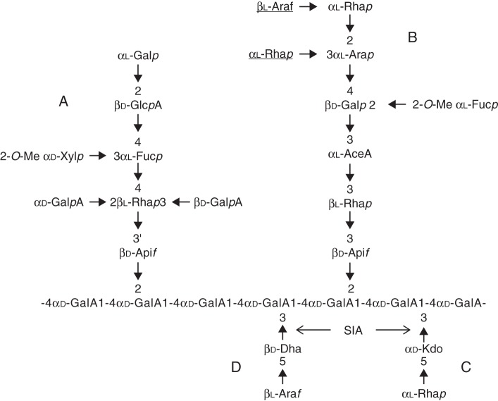 Fig. 1.