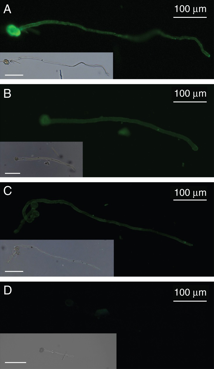 Fig. 2.