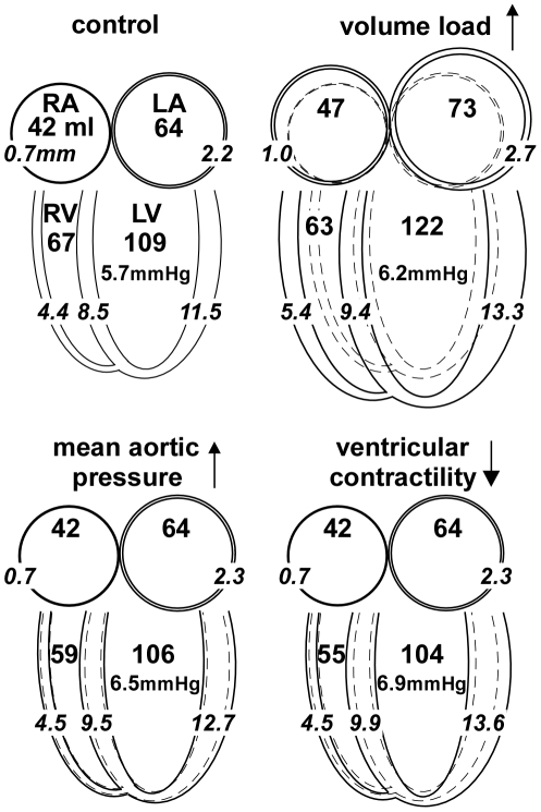 Figure 8